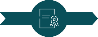 Modelo de organización